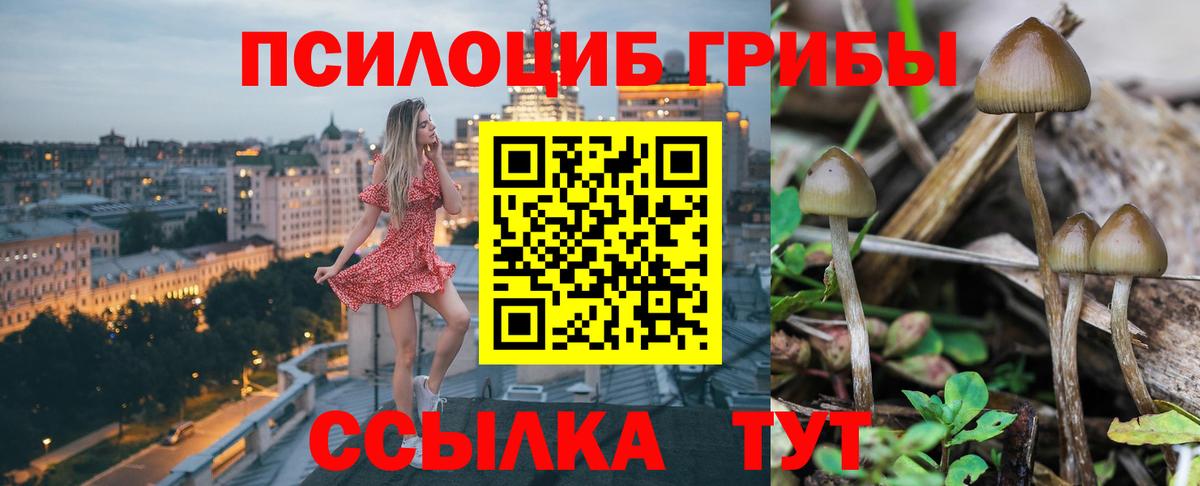 Галлюциногенные грибы GOLDEN TEACHER Ковров